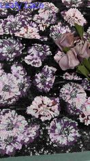 Mesh Tulle Sequin Kain bordir 49 Inch Bunga Untuk Wanita Pakai