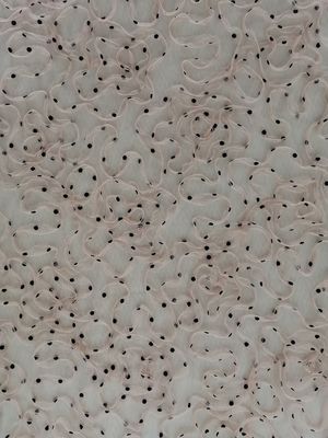 Kain Renda Bunga Tiga Dimensi 3D Dot Berkelompok Tulle Cording Mesh