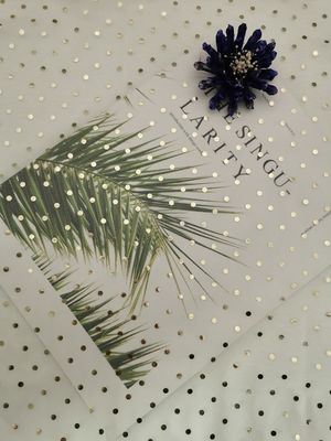 Ivory Tulle Mesh Foil Dicetak Kain Polka Dot Metalik Glitter