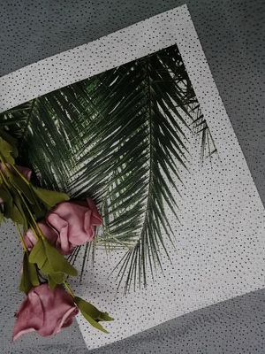 Pesta Kain Cetak Foil Hitam Dot Glitter Tulle Mesh