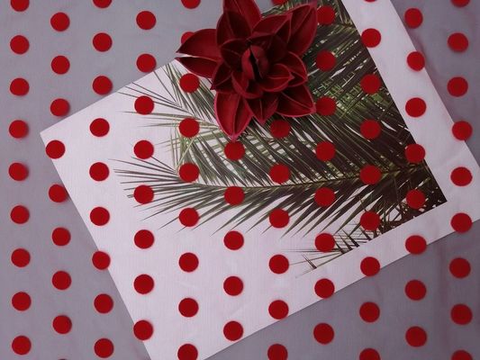 Kain Jaring Berbondong-bondong Polka Dot Tulle Merah Besar