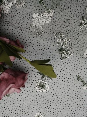Berwarna Foil Dicetak Kain Renda Bordir Shimmer Tulle