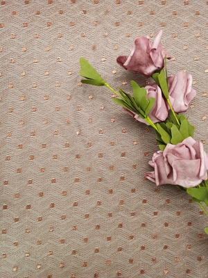 Warna Coklat Kain Renda Bordir Metalik Tulle Lace Ringan Dot Lace